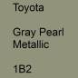 Preview: Toyota, Gray Pearl Metallic, 1B2.